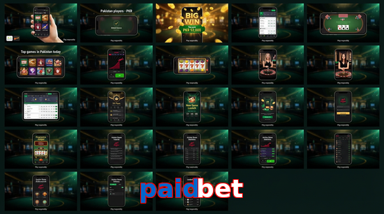 Main screen of Paidbet bet page for PK players