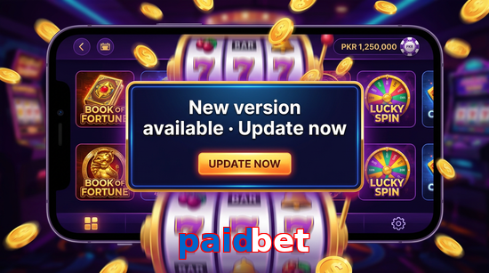 Payment and PKR controls in Paidbet